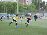 IMG_4535